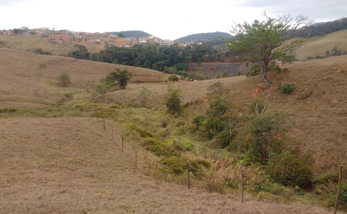 Codema e moradores se unem para cercar nascente