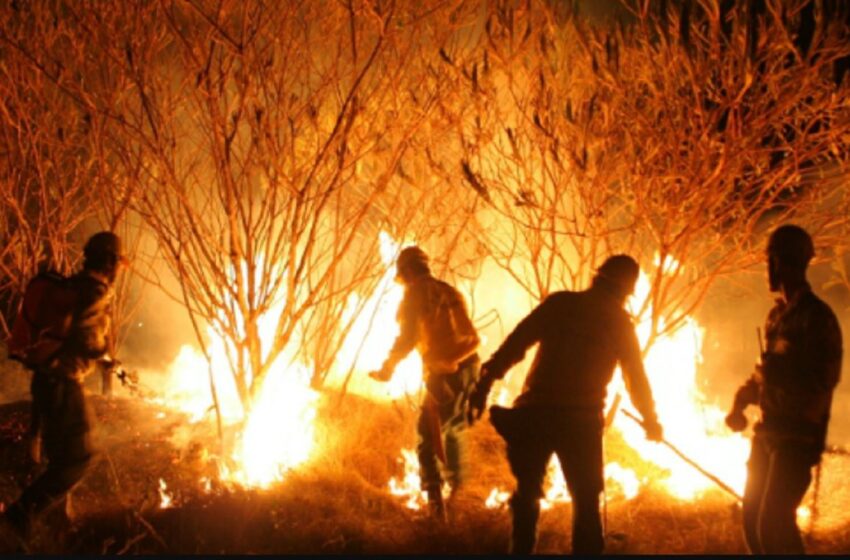  Bombeiros preveem: vai piorar as queimadas em Minas