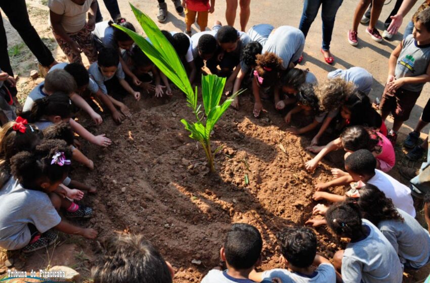  Plantando o Futuro II – Parceria Eugênia Scharle, Libertas, Tribuna e OAK