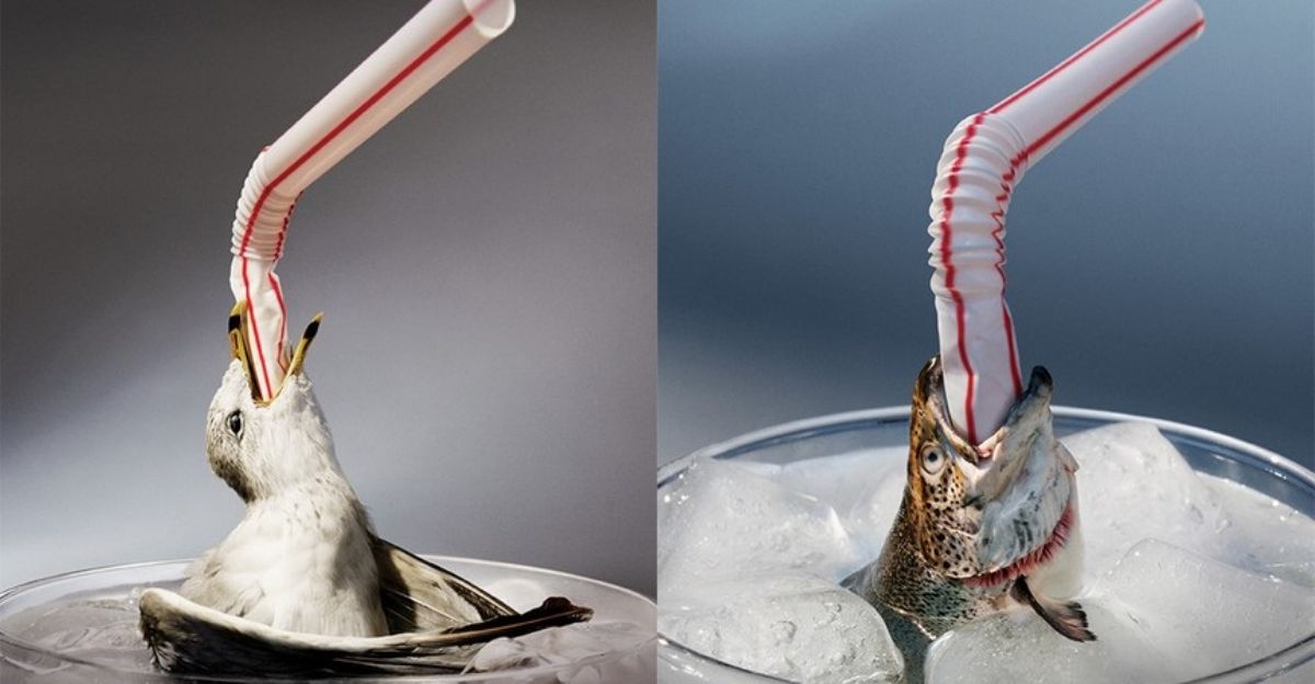 Lei proíbe canudos de plástico em Catas Altas