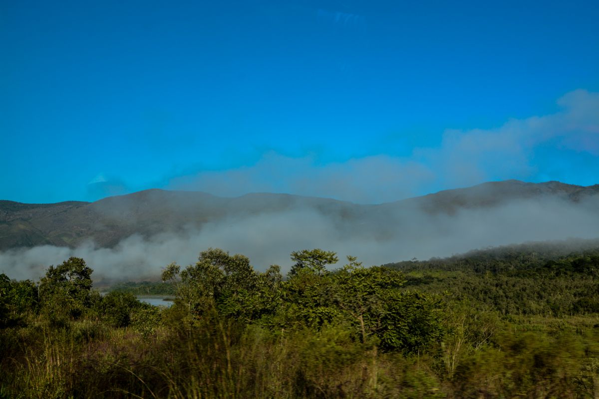 Semad cria selo de boas práticas ambientais