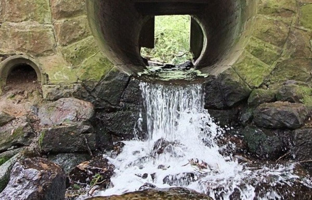 Covid 19 nos esgotos