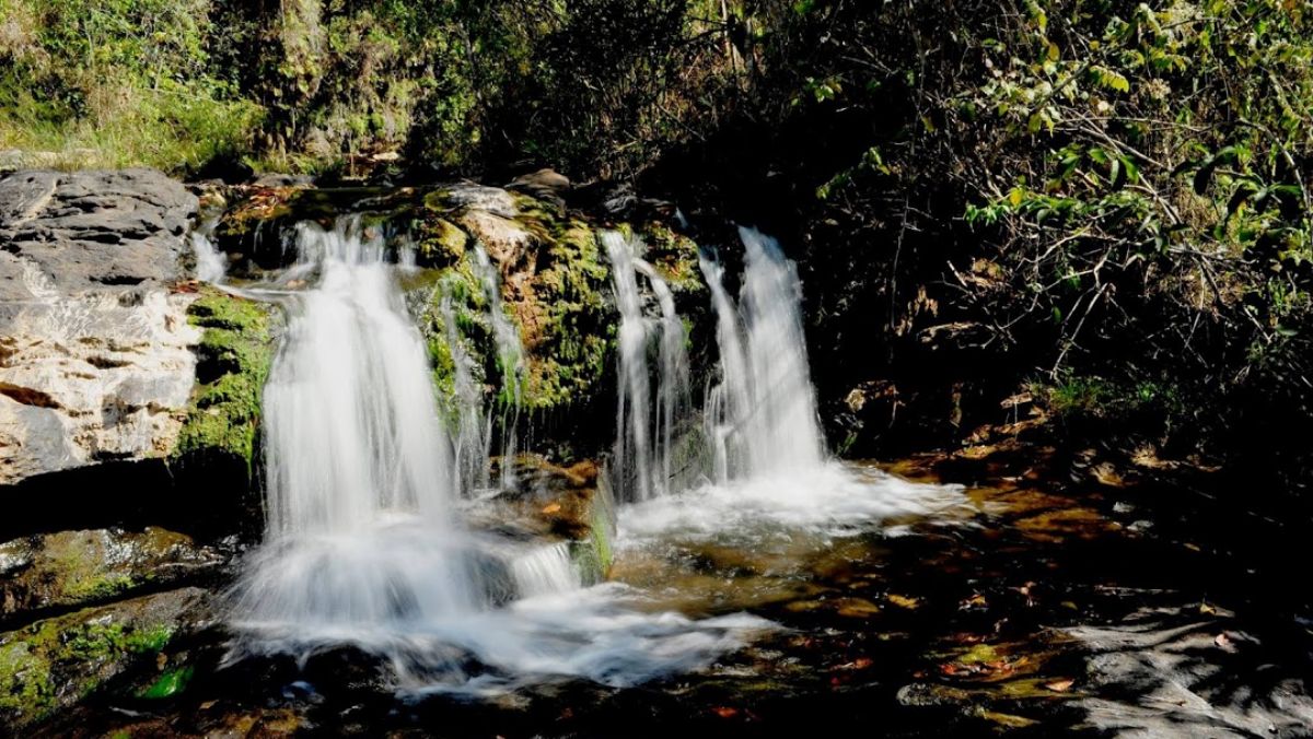 Porque você deve preservar o meio ambiente?