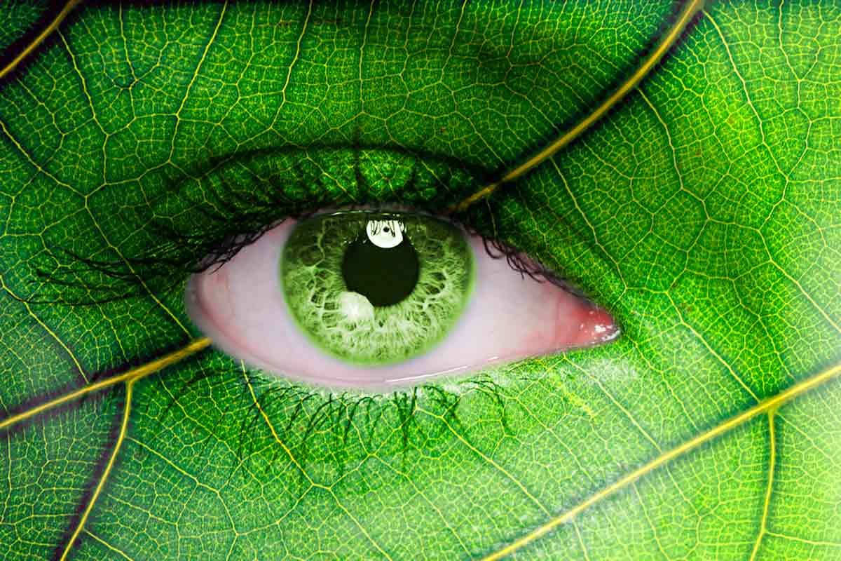 Em 2020, é hora da natureza!