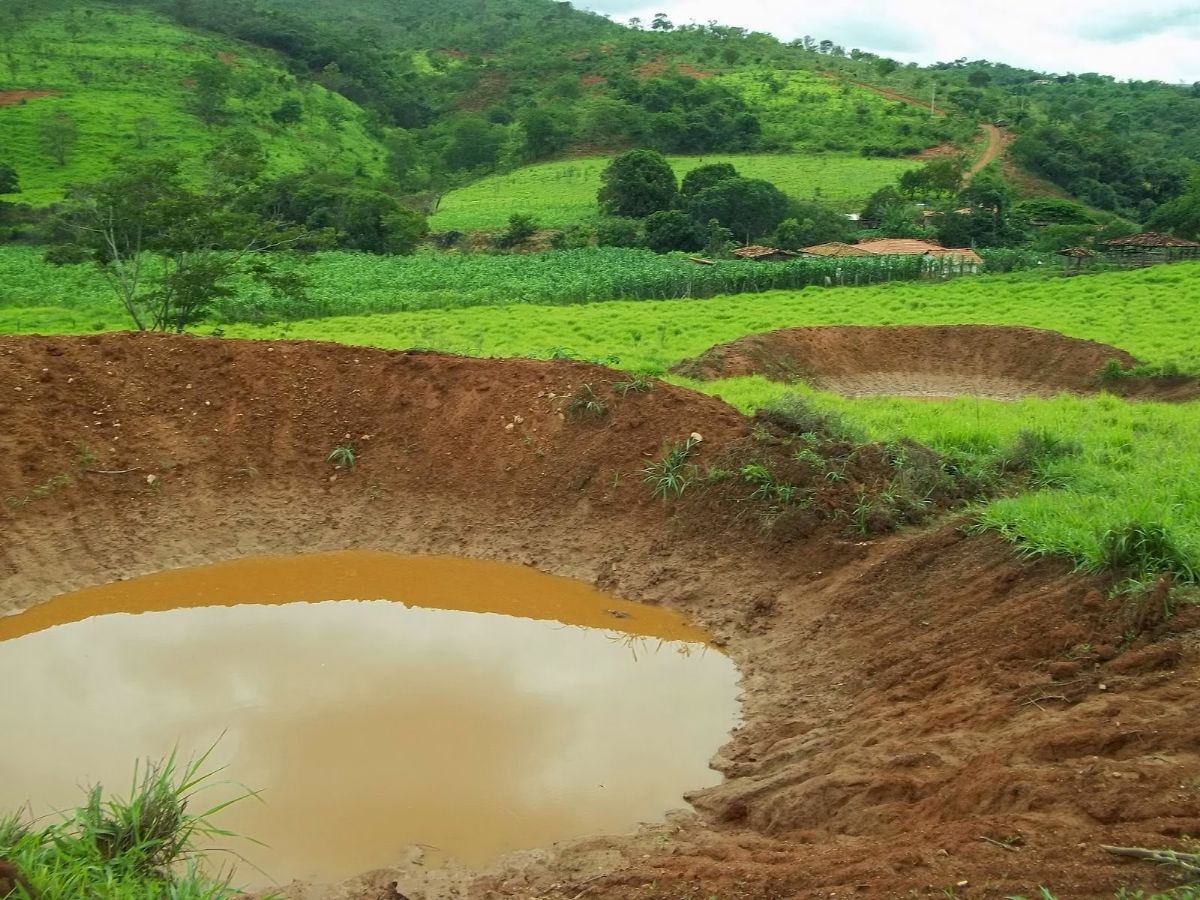 Emater e Epamig em risco