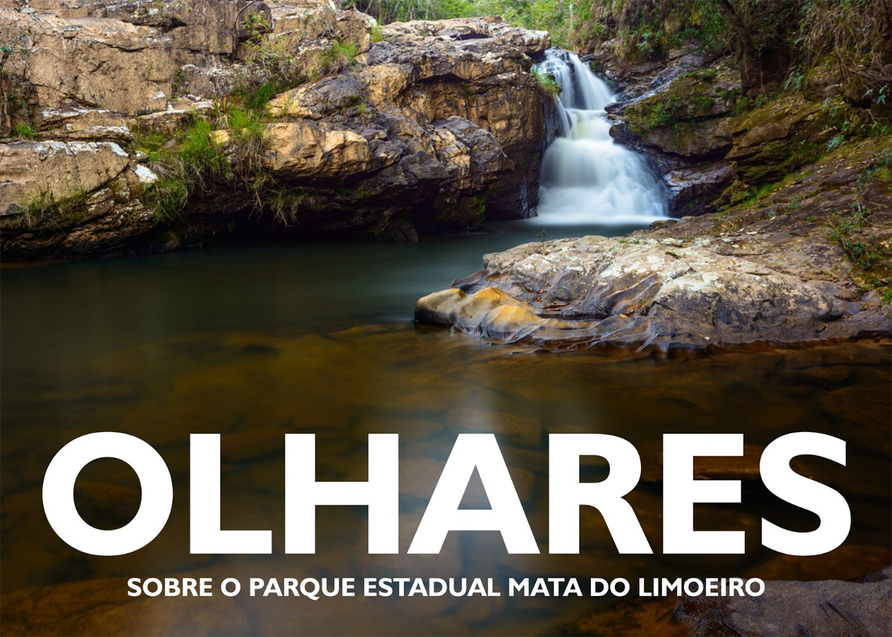 Parque do Limoeiro – 10 anos