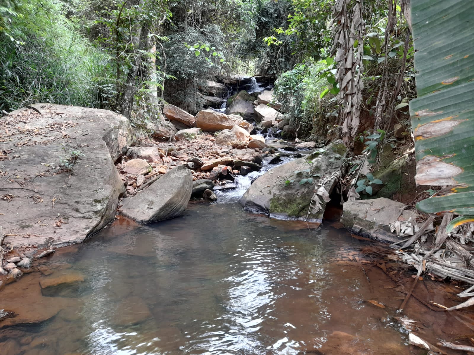 Fórum das Águas de Monlevade