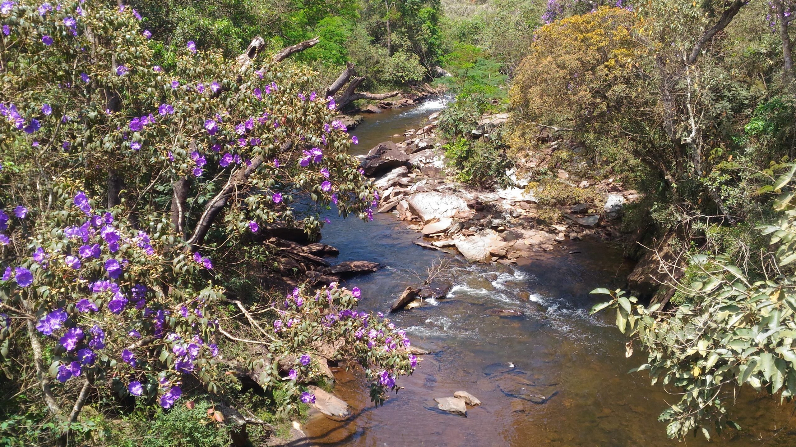 Tribuna do Piracicaba: 28 anos trabalhando para a mudança