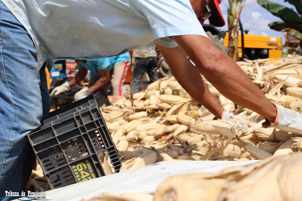 Cenibra apoia projeto agrícola