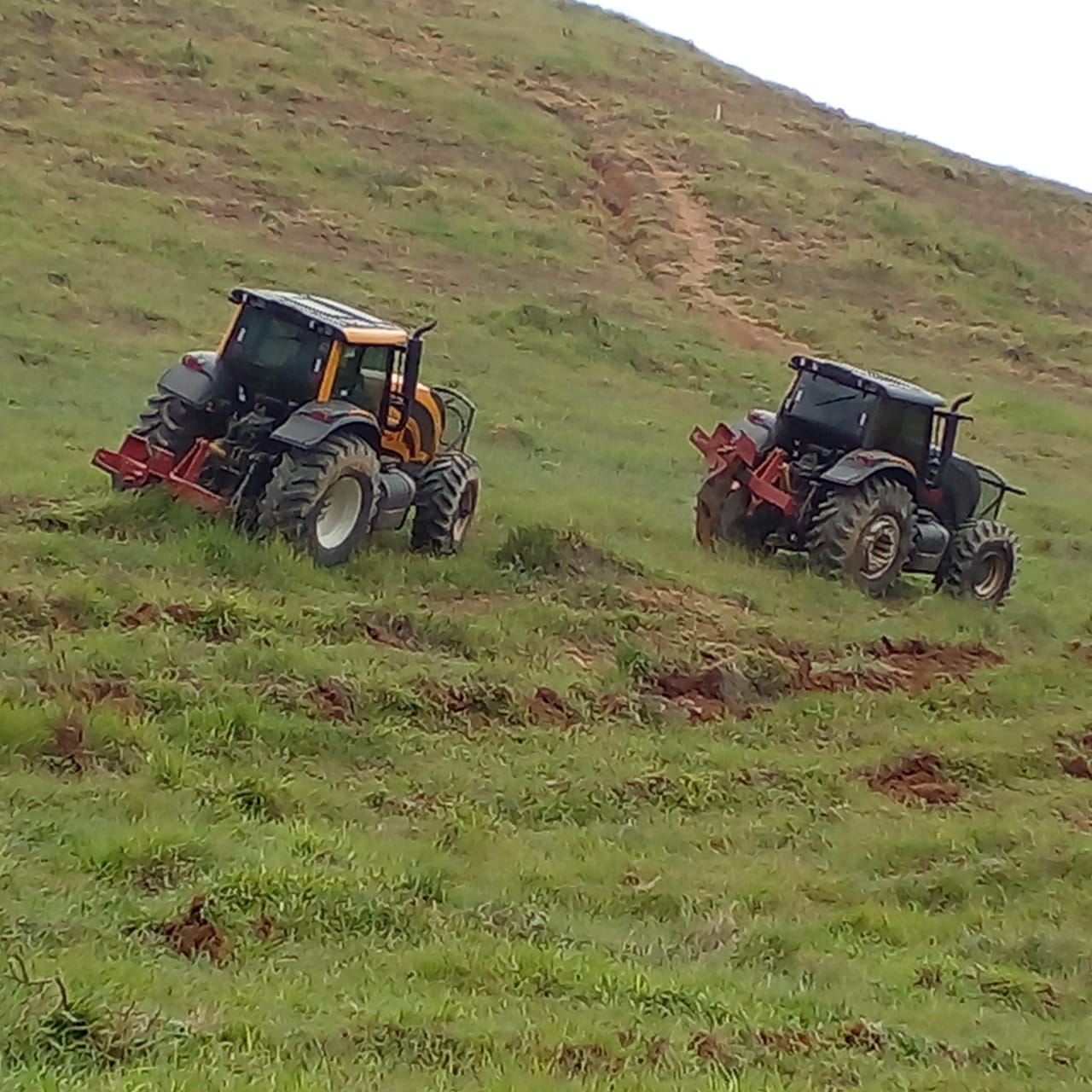 Técnica de conservação de água e solo é promovida pela Cenibra