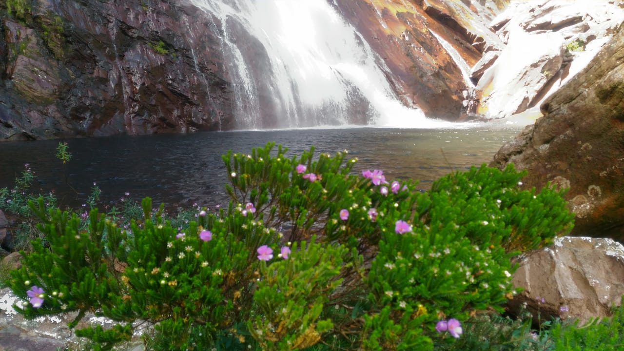 Dicas para ajudar na preservação do nosso meio ambiente