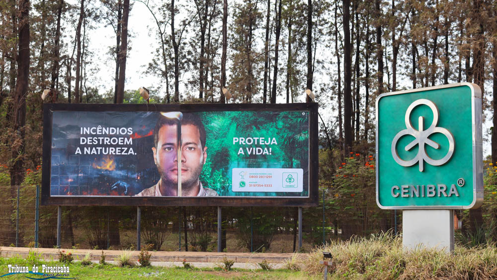 Cenibra lança campanha contra incêndios florestais