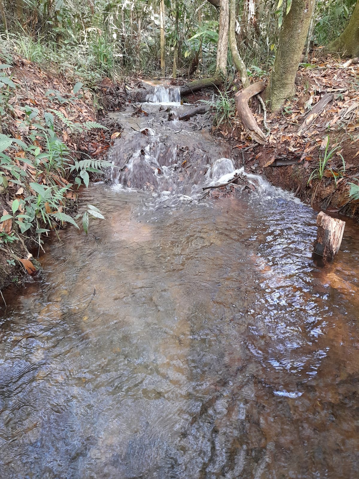 Conselho de Abastecimento de Água é criado em São Gonçalo