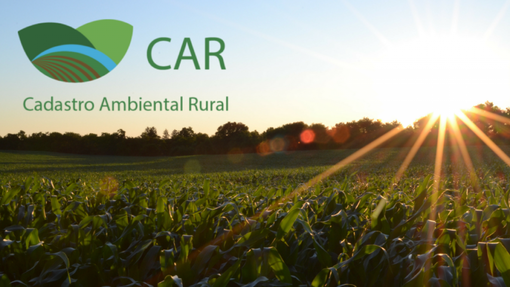 CAR e Serviço Florestal retornam ao MMA