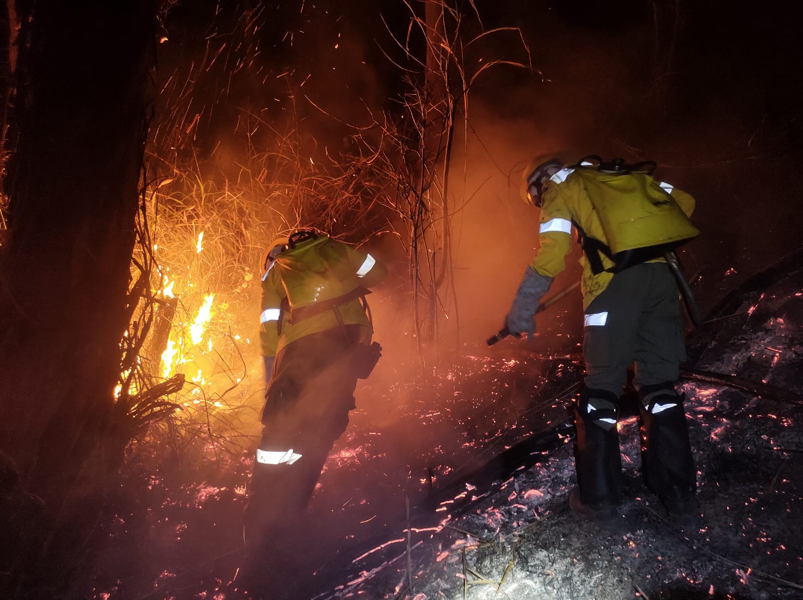 Período de seca tem início e autoridades alertam para queimadas