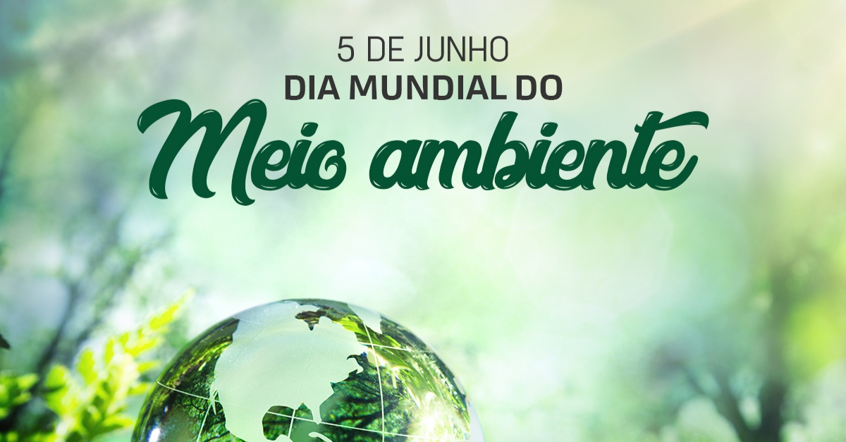 Dia Mundial do Meio Ambiente e o plástico