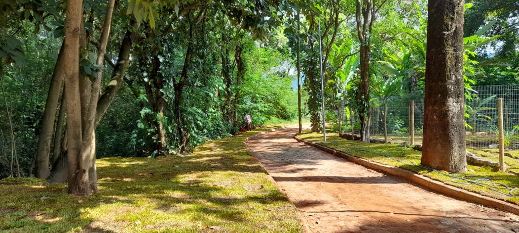 Prefeitura realiza oficinas de plano de arborização urbana
