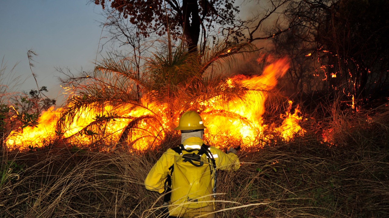 Minas une forças para evitar incêndios florestais
