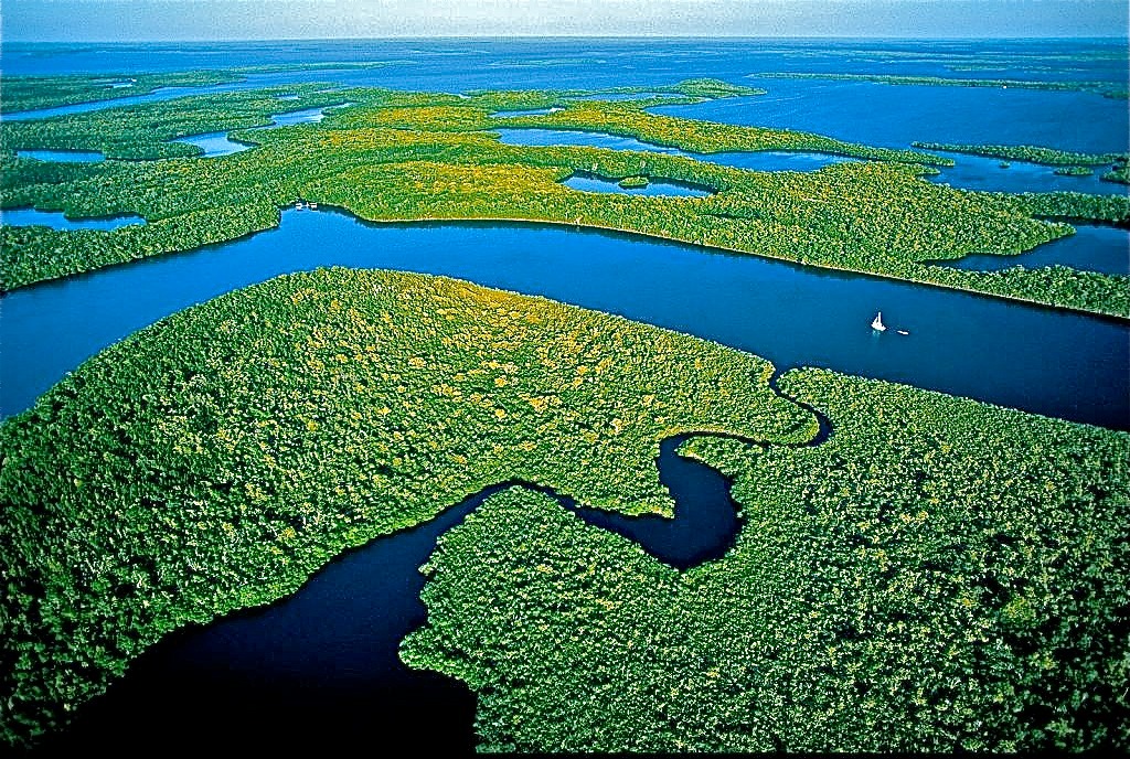Tesouro escondido na Amazônia: Reserva subterrânea pode abastecer o mundo por 250 anos