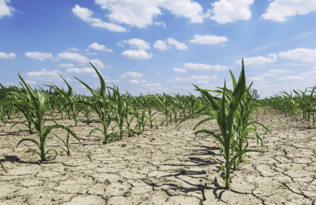 Para 91% dos brasileiros, aquecimento global é um problema grave e alteração no clima é notável, revela pesquisa