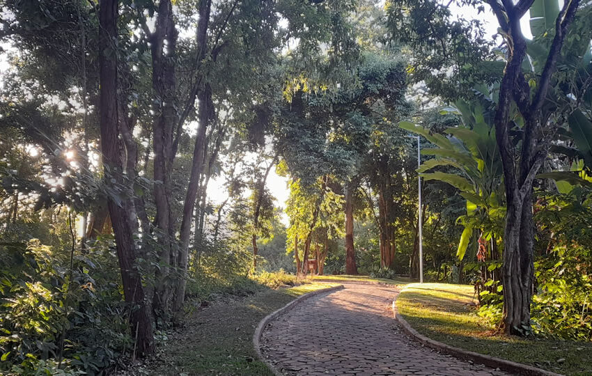  Projeto de Lei para criação da Fundação Municipal Parque do Areão é aprovado em primeiro turno na Câmara Municipal