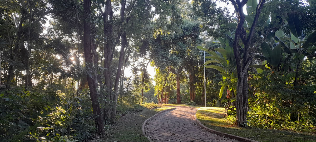 Projeto de Lei para criação da Fundação Municipal Parque do Areão é aprovado em primeiro turno na Câmara Municipal