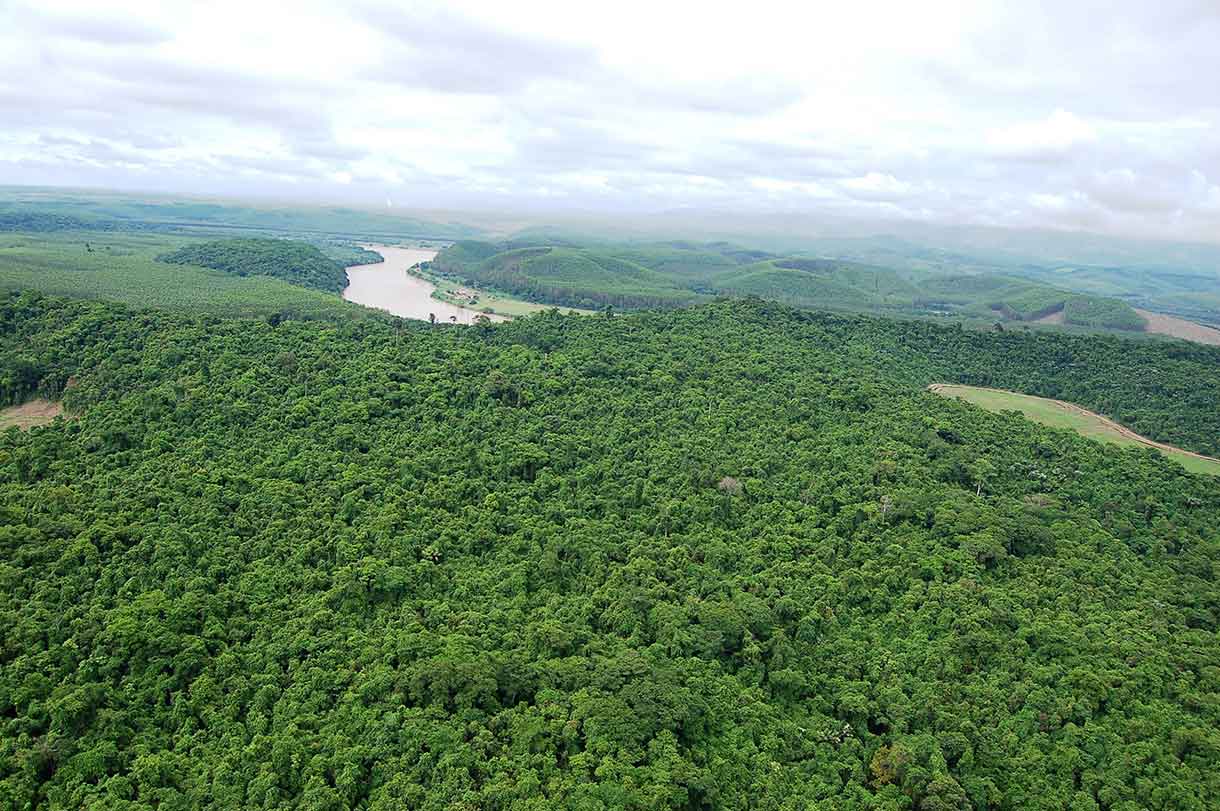 Instituto CENIBRA anuncia nova Diretoria