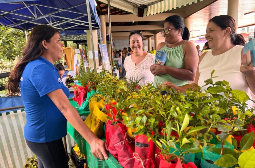  “Feira da Água” movimenta Praça Central em São Gonçalo do Rio Abaixo