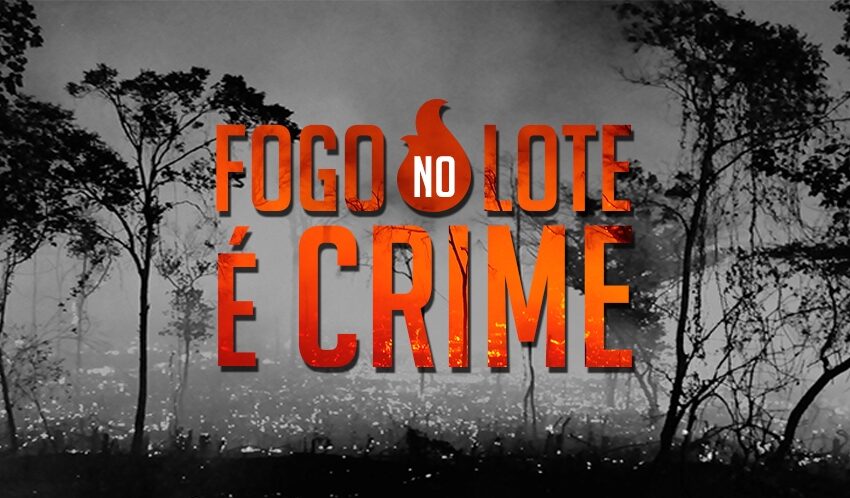  Queimada é crime – mas cadê a punição?