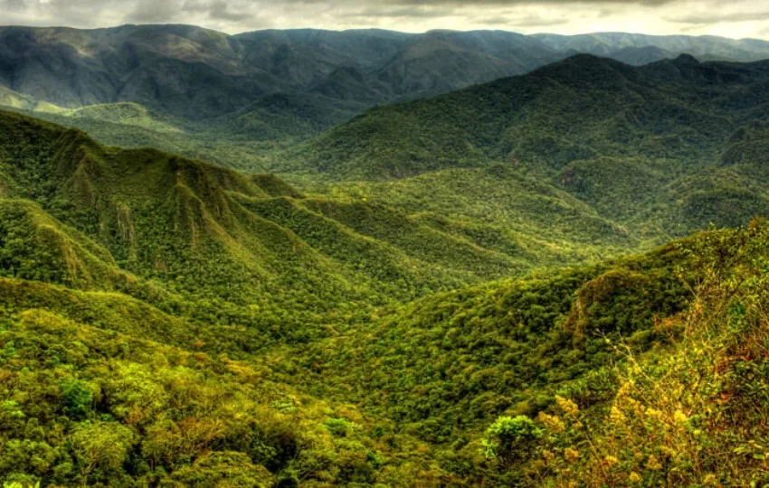  Dia Mundial do Meio Ambiente – Presente da Vale: Projeto Apolo coloca em risco mais de 5 milhões de pessoas