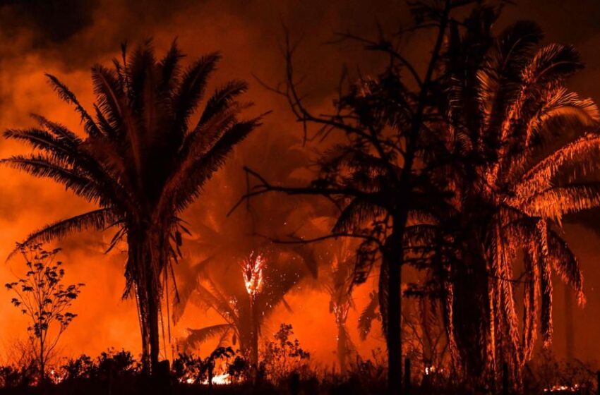  Os sinos anunciam: o clima enlouqueceu