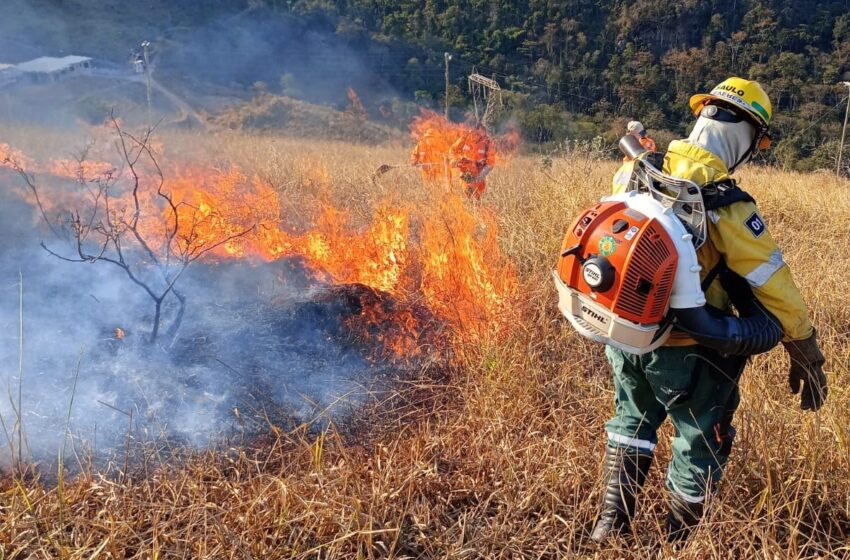  Incêndios em Monlevade pode ser parte de ação criminosa coordenada