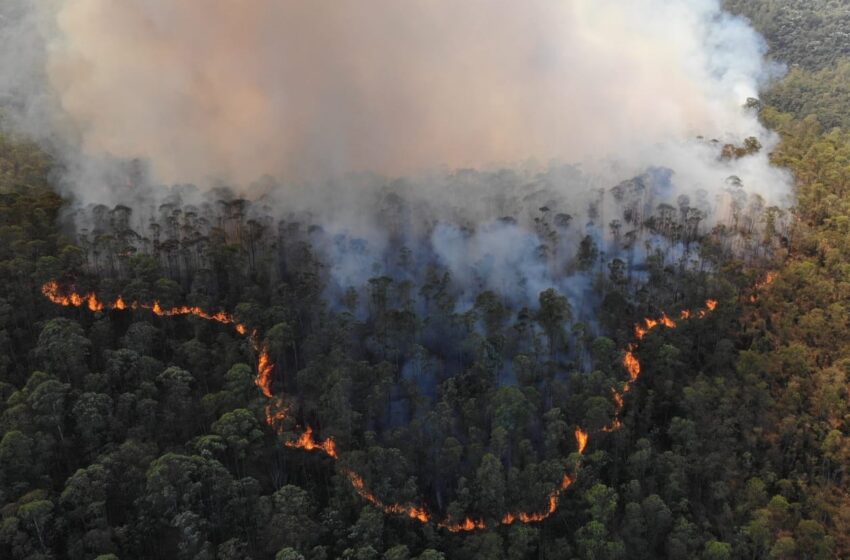  As mudanças climáticas e os incêndios florestais