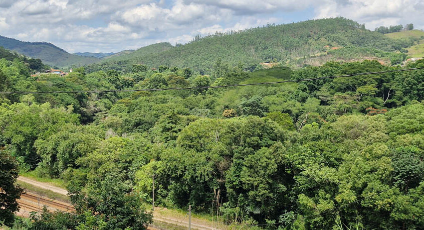 A “Voz do Rio” e a recuperação da Mata Ciliar do Rio Piracicaba
