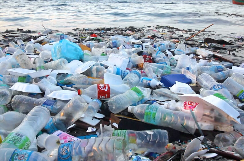 Combate à Poluição por Plásticos é o tema do Dia Mundial do Meio Ambiente desse ano
