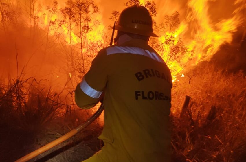  Queimadas urbanas: o fogo da ignorância e os alertas da lei