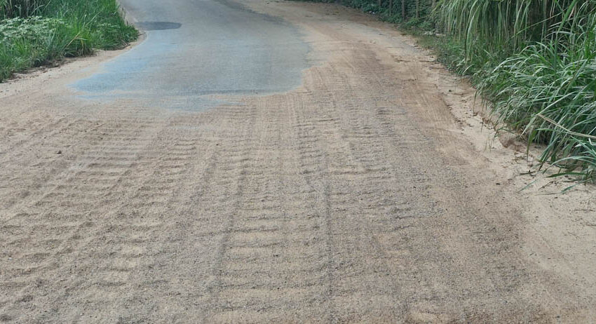  Especialista* alerta para desassoreamento sem levantamento de dados e estudos aprofundados