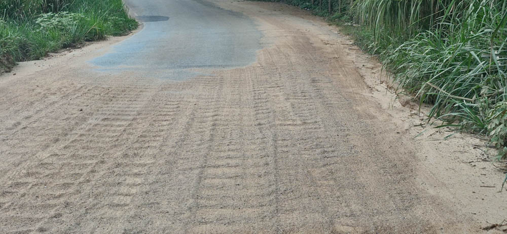 Especialista* alerta para desassoreamento sem levantamento de dados e estudos aprofundados