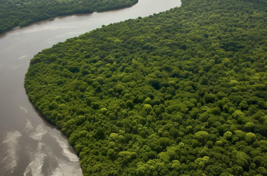  COP 30: Emergência climática e marketing