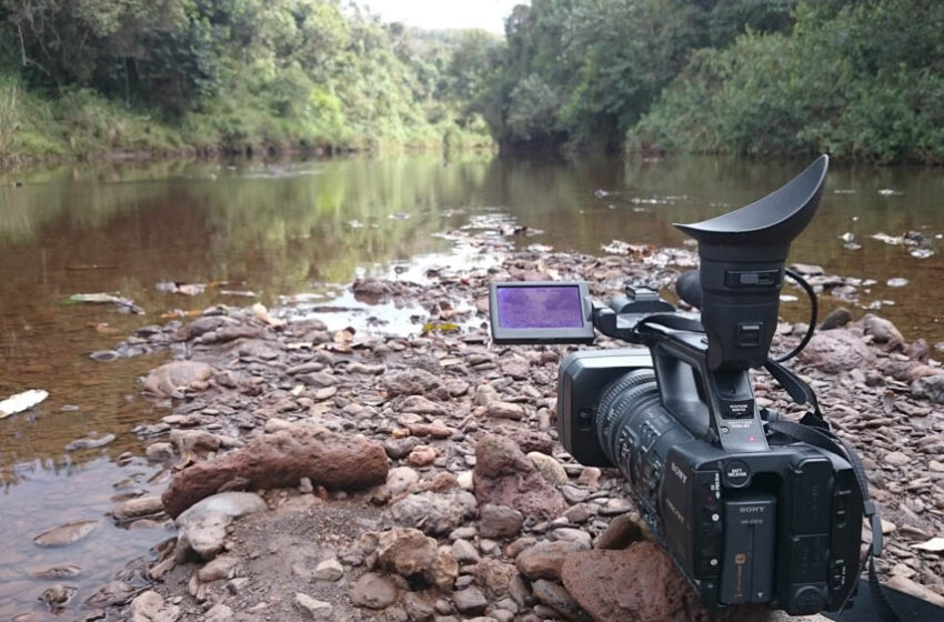  Jornalismo Ambiental: A Voz da Terra na Mídia