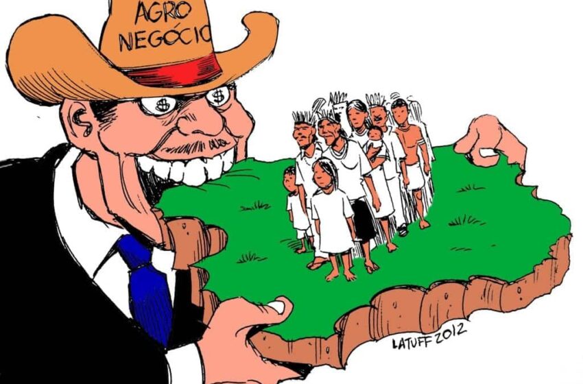  COP 30: poder sem saber e saber sem poder