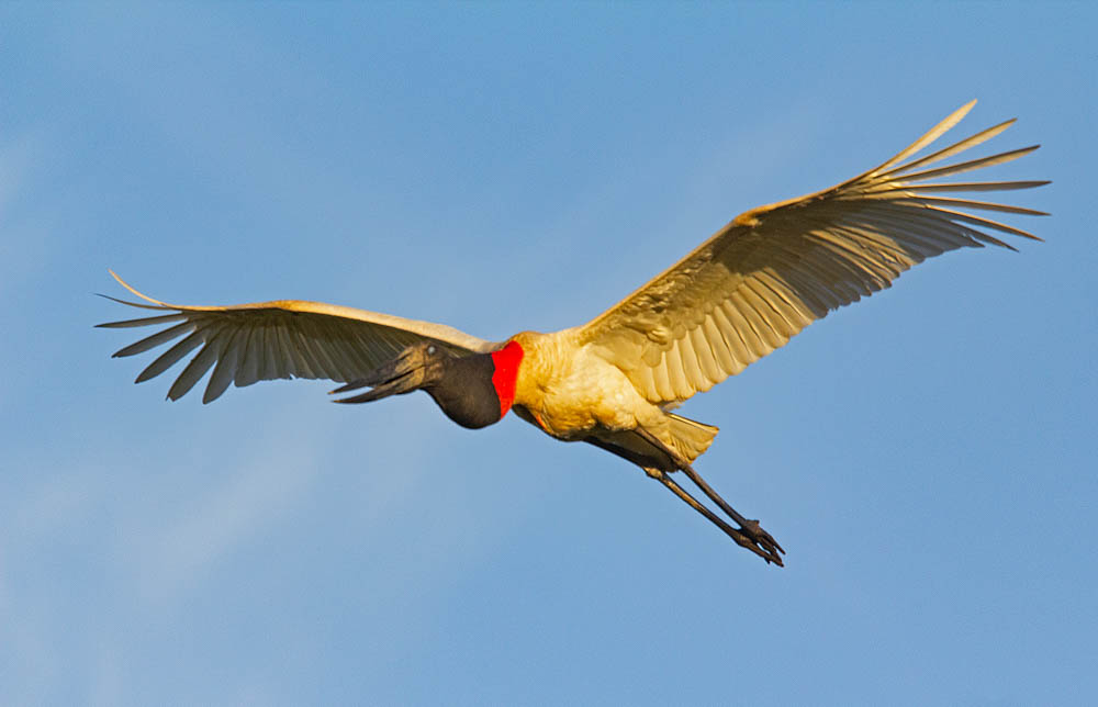 Um ícone das águas