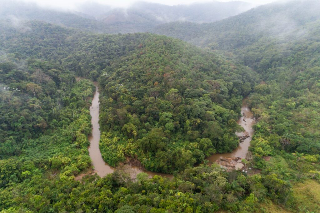 Parceria entre Samarco e FUNBIO amplia conhecimento científico sobre a biodiversidade da Bacia do Rio Doce
