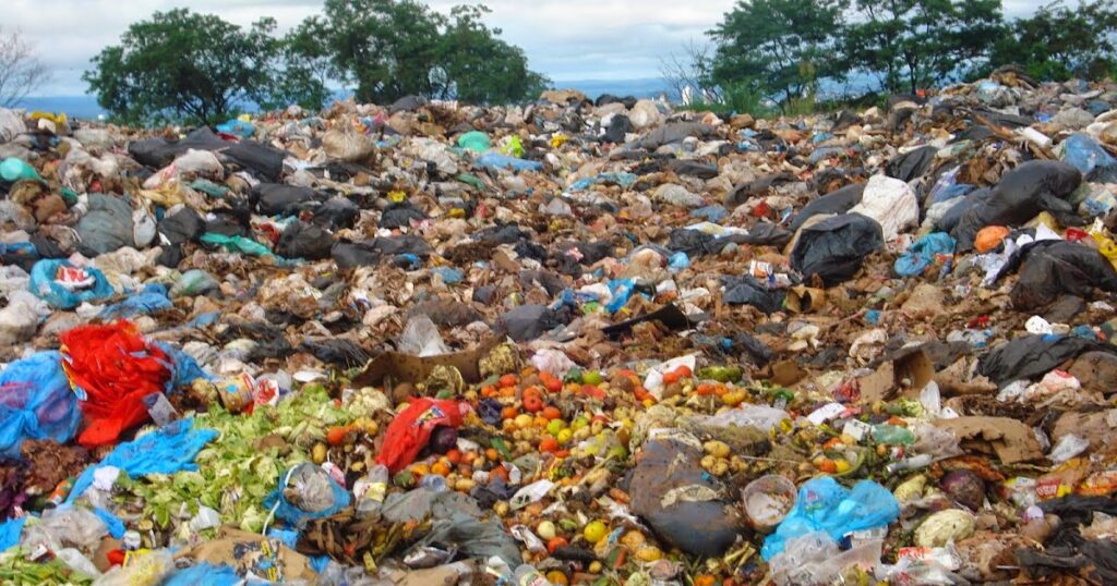 Mês do Meio Ambiente: Brasil gera 81 milhões de toneladas de resíduos sólidos