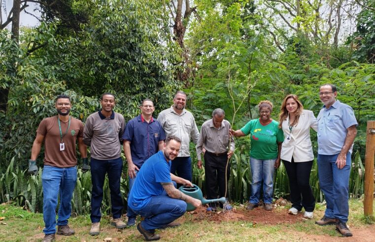 Codema realiza reunião de setembro no Parque do Areão e participa de plantio de mudas