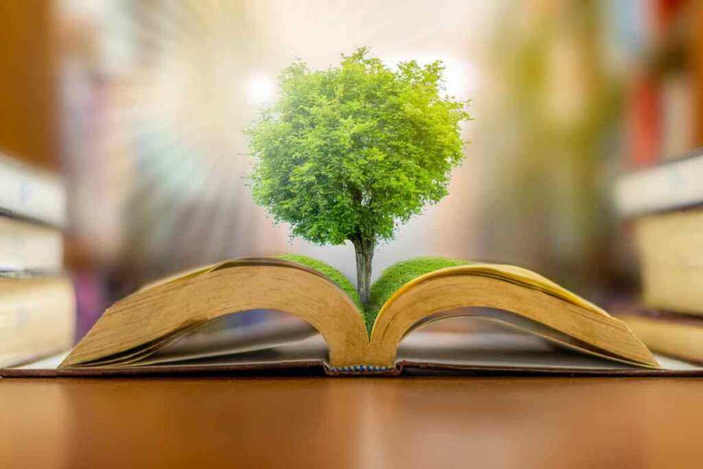 Quando o clima muda, a educação precisa mudar também